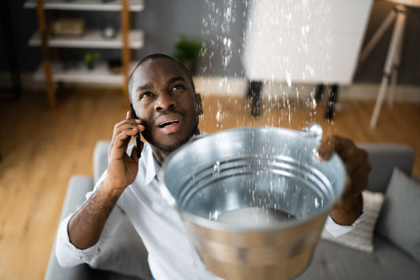 Best Flood damage cleanup  in Hughes Springs, TX