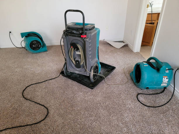 Best Water damage contractors near me  in Hughes Springs, TX