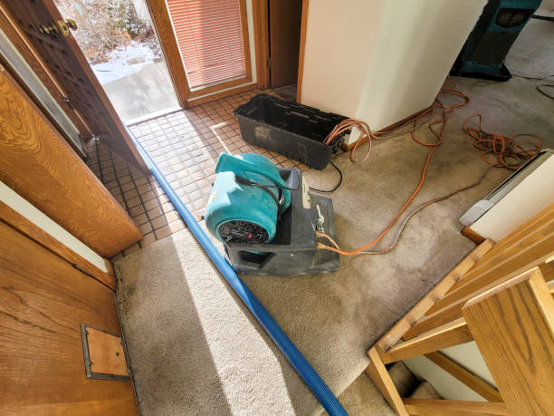  Hughes Springs, TX Water damage restoration Pros