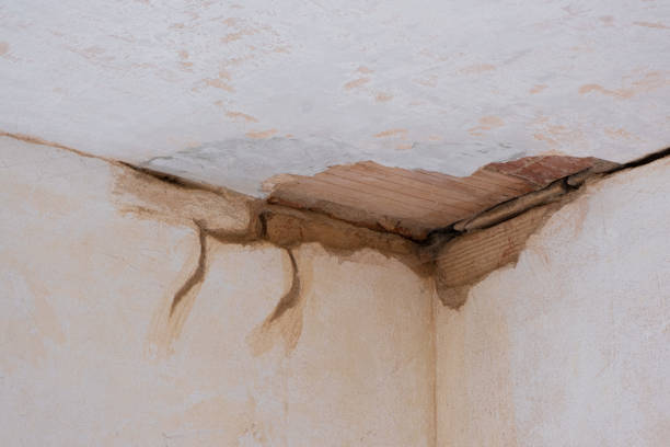 Best 24/7 water damage repair  in Hughes Springs, TX