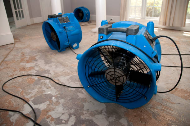 Best Sewage cleanup and water damage restoration  in Hughes Springs, TX