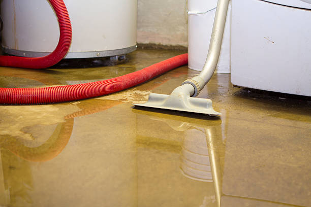 Best Basement water damage restoration  in Hughes Springs, TX